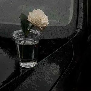 世界灿烂盛大 欢迎回家