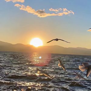 渴望对生活的向往