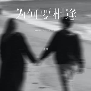 为何要相逢 (伴奏)