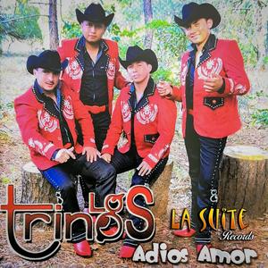 Quererte Me Hace Bien