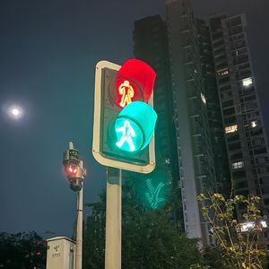 左心室的滴答滴