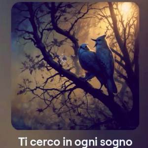 Ti cerco in ogni sogno