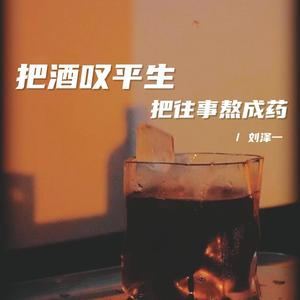 把酒叹平生 把往事熬成药 （DJ阿泽版）