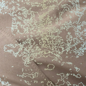 Nostalgia For Faint Things