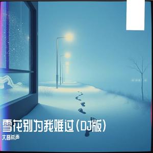雪花别为我难过(DJ版)