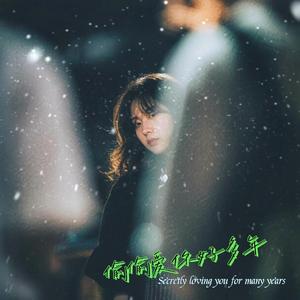 偷偷爱你好多年