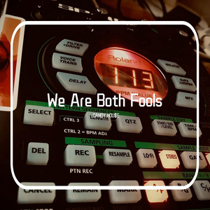 We Are Both Fools...