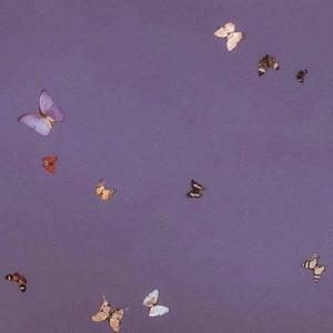 Last Night of the Dynasty