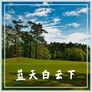 你是不是和我一样