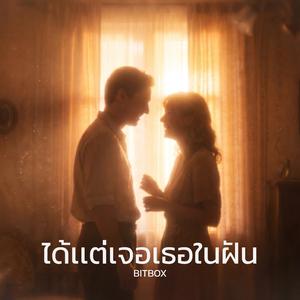 ได้แต่เจอเธอในฝัน