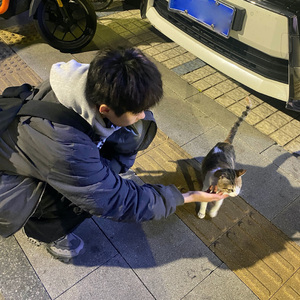 为你写诗（火鸡版）