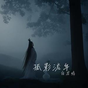 孤影流年