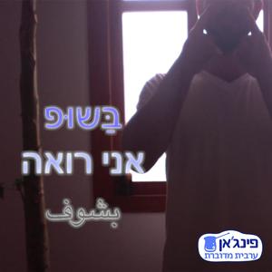 מדיטציית פעלים
