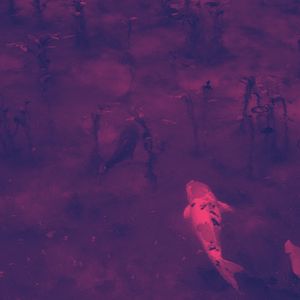 温和在家休息梦想