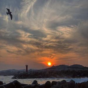 沦陷（翻自 等风音乐）