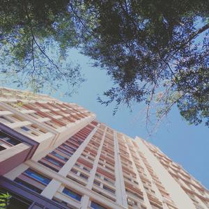 【杨岛岛生贺】致好天气先生（Cover 生物股长）