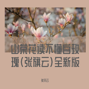 山茶花读不懂白玫瑰（张旗云）全新版