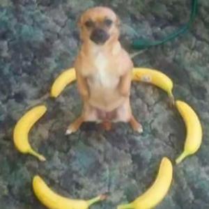 Antouraje (prd. overallsloppy)