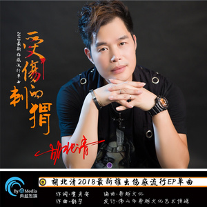 受伤的刺猬 (慢四版伴奏)