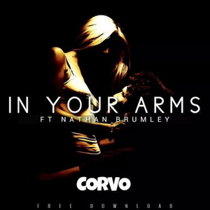 In Your Arms (Original Mix)