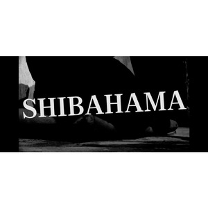 Dreaming of SHIBAHAMA