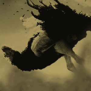 忘不了的你或她