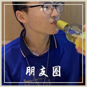 朋友圈(钢琴版)
