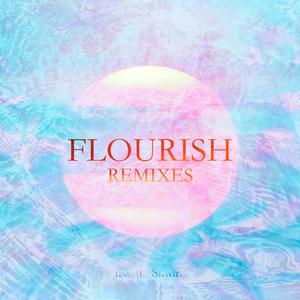Flourish (Shameless. Remix)
