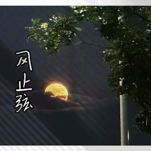 风止弦