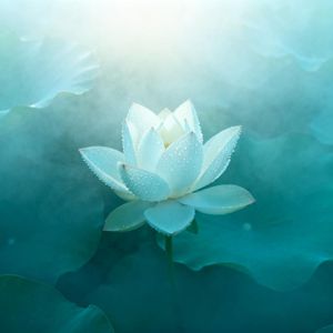 不必定义我