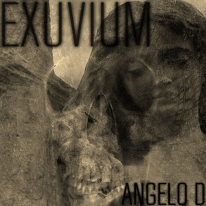 Exuvium