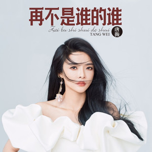 再不是谁的谁(DJ版)