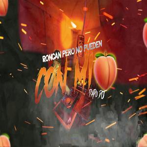 Roncan Pero No pueden Con Mi Bichota