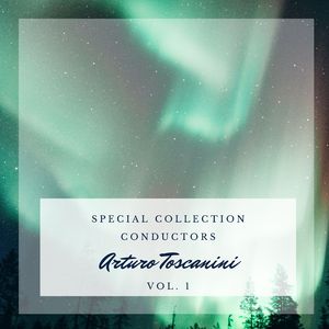 Symphony n. 3, Op. 78 "Organ": III. Allegro moderato