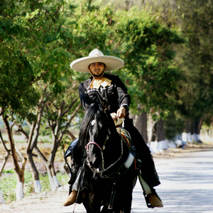 Mi Gran Amor Prohibido