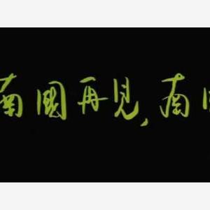 我的浪漫走得很快 伴奏