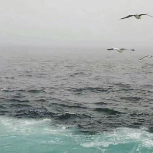 2024优美旋律Vo.4