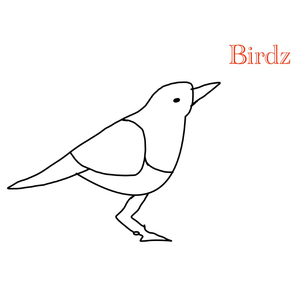 Birdz