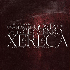 Mega Sad uma Hora Ela Gosta de Pau Vs Tá Chovendo Xereca