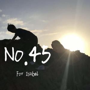 No.45