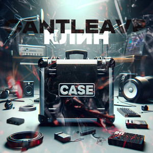Case