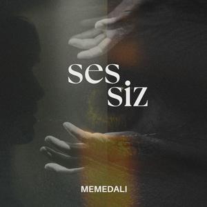 SESSIZ