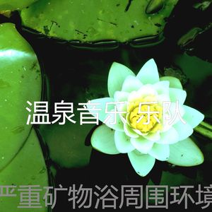 抚慰的温泉回忆