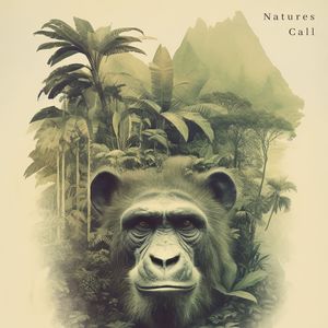 Tranquil Amid the Tropical Vibrations