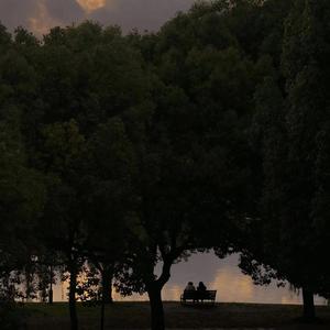 遇见（孙燕姿） 钢琴曲