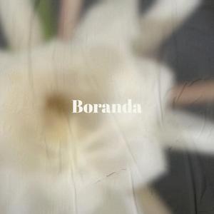 Boranda