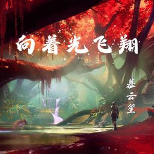 向着光飞翔