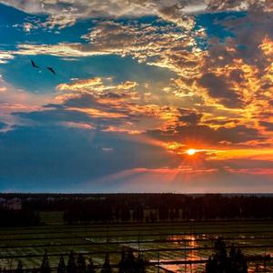 为爱受了罪（Live版）