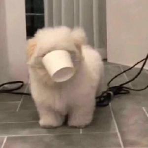 刻在我心里的名字