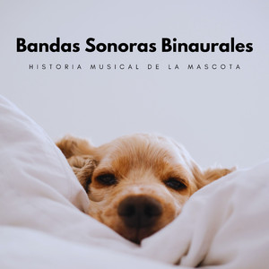 Travesuras De Animales